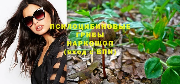мескалин Козловка