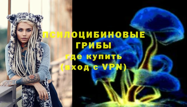 ALPHA PVP Козельск