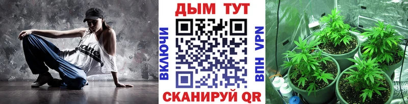 Каннабис ГИДРОПОН Электросталь